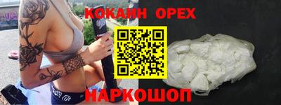 мдпв Камышлов