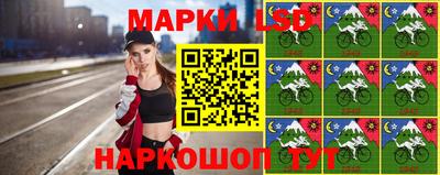 мдпв Камышлов