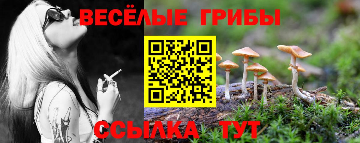 Видное  Галлюциногенные грибы GOLDEN TEACHER  хочу   Вход с VPN  Галлюциногенные грибы мухоморы 