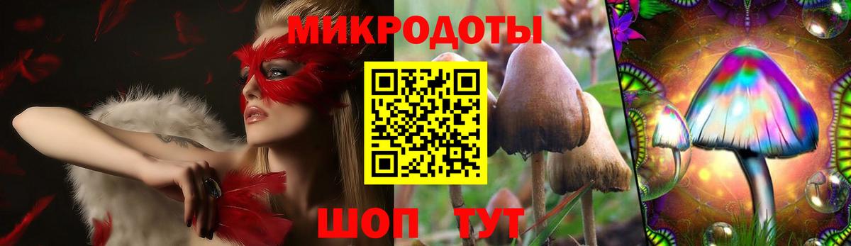 Галлюциногенные грибы Psilocybine cubensis Видное
